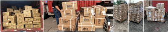 Long Life OEM High Quality Auto Brake Pads for Land Rover (D1838/T4N13434) Ceramic and Semi-Metal Auto Parts